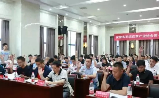 安徽省羽絨皮草產(chǎn)業(yè)協(xié)會(huì)成立，夏吉國總裁任第一屆理事會(huì)顧問